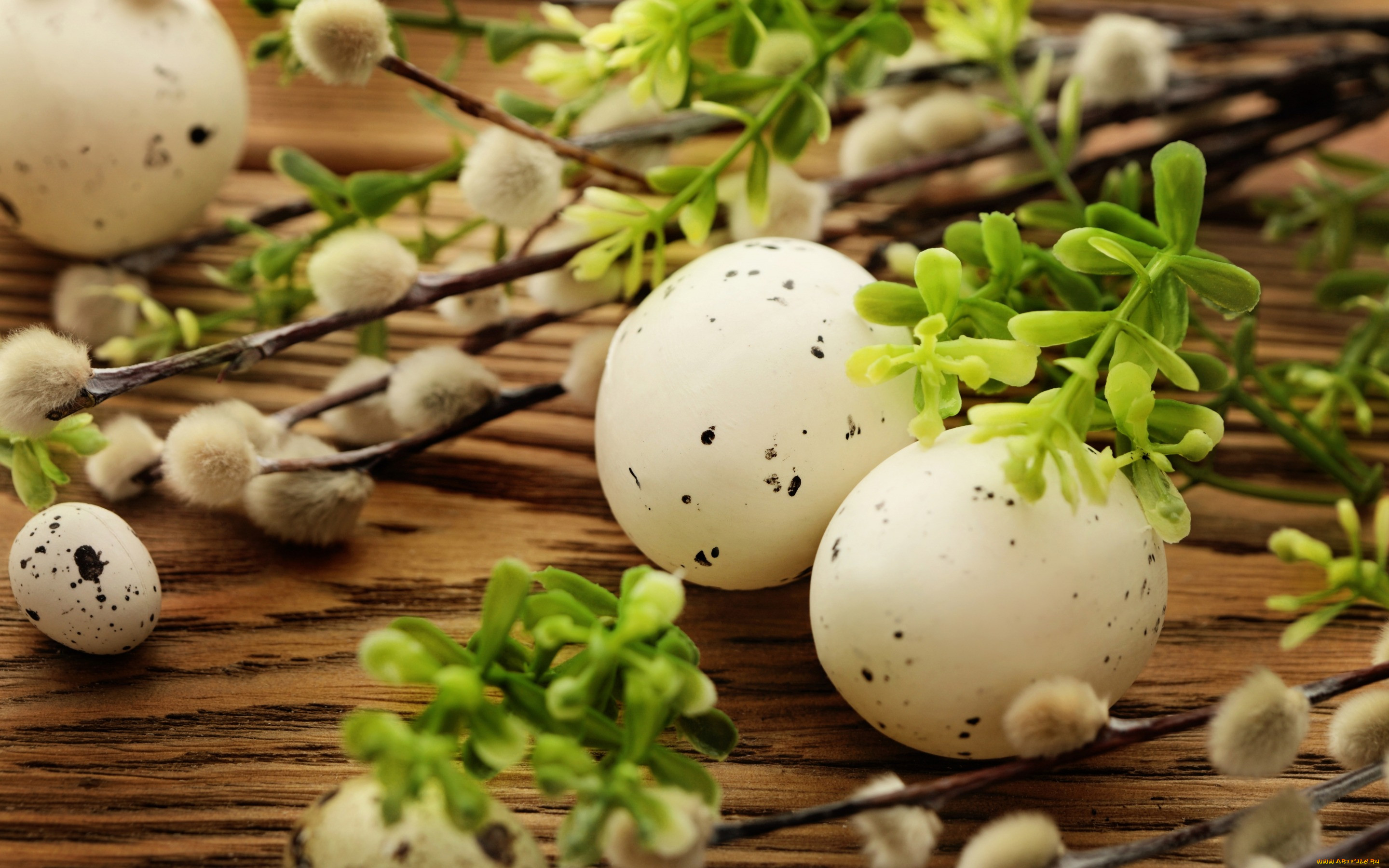 , , , , flowers, eggs, spring, easter